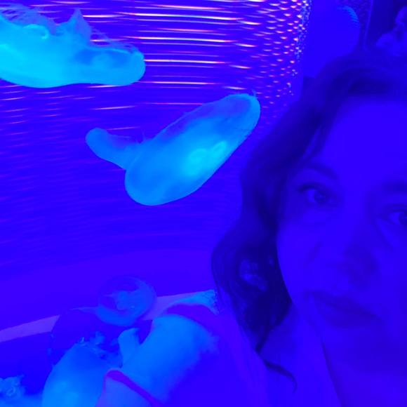 Meet your Posher, Shannon - Picture 1 of 1